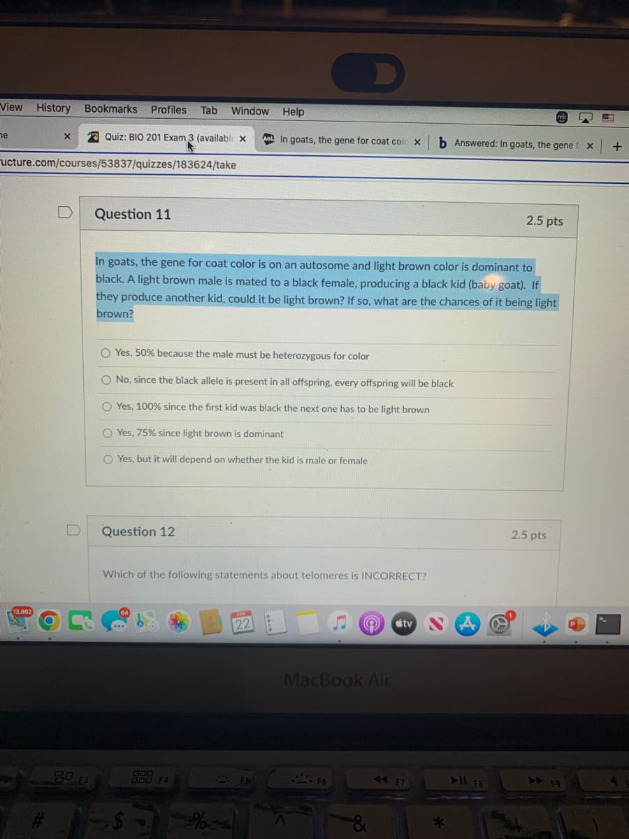 View History Bookmarks
Window Help
Profiles
Tab
ne
a Quiz: BIO 201 Exam 3 (available x
Aol. In goats, the gene for coat colo
h Answered: In goats, the gene f x
+
ructure.com/courses/53837/quizzes/183624/take
Question 11
2.5 pts
In goats, the gene for coat color is on an autosome and light brown color is dominant to
black. A light brown male is mated to a black female, producing a black kid (baby goat). If
they produce another kid, could it be light brown? If so, what are the chances of it being light
brown?
O Yes, 50% because the male must be heterozygous for color
O No, since the black allele is present in all offspring, every offspring will be black
O Yes, 100% since the first kid was black the next one has to be light brown
O Yes, 75% since light brown is dominant
O Yes, but it will depend on whether the kid is male or female
D
Question 12
2.5 pts
Which of the following statements about telomeres is INCORRECT?
13,862
22
tv
MacBook Air
20 F3
44F7
l F8
000 F4
- F6
> FA
