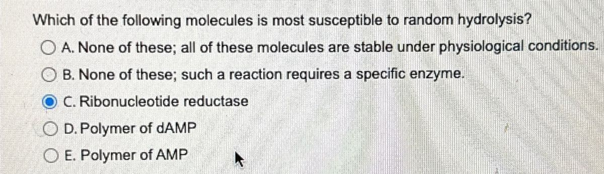 Which of the following molecules is most susceptible to random hydrolysis?
A. None of these; all of these molecules are stable under physiological conditions.
OB. None of these; such a reaction requires a specific enzyme.
C. Ribonucleotide reductase
OD. Polymer of dAMP
OE. Polymer of AMP