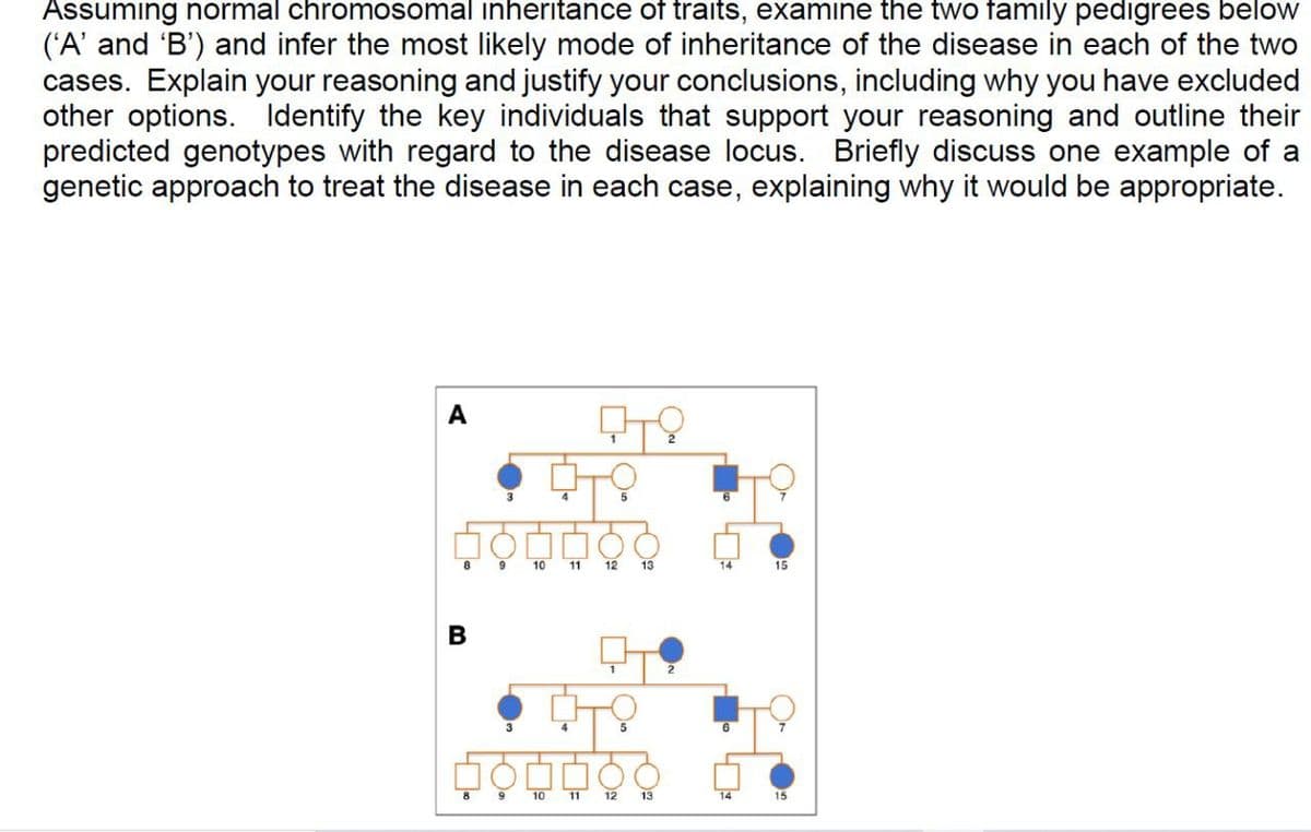 Assuming normal chromosomal inheritance of traits, examine the two family pedigrees below
('A' and 'B') and infer the most likely mode of inheritance of the disease in each of the two
cases. Explain your reasoning and justify your conclusions, including why you have excluded
other options. Identify the key individuals that support your reasoning and outline their
predicted genotypes with regard to the disease locus. Briefly discuss one example of a
genetic approach to treat the disease in each case, explaining why it would be appropriate.
A
4
10
11
12
13
14
15
B
3
4
10
11
12
13
15
