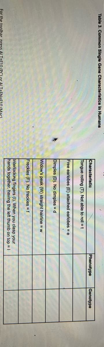 Table 3. Common Single Gene Characteristics in Humans
For the toolbar, press ALT+F10 (PC) or ALT+FN+F10
Characteristic
Tongue rolling (T). Not able to roll = t
Free earlobes (E) attached earlobes = e
Dimples (D). No dimples = d
Widow's peak (W) straight hairline = w
Freckles (F). No freckles = f
Interlocking fingers (I). When you clasp your
hands together, having the left thumb on top = 1
Phenotype
Genotype