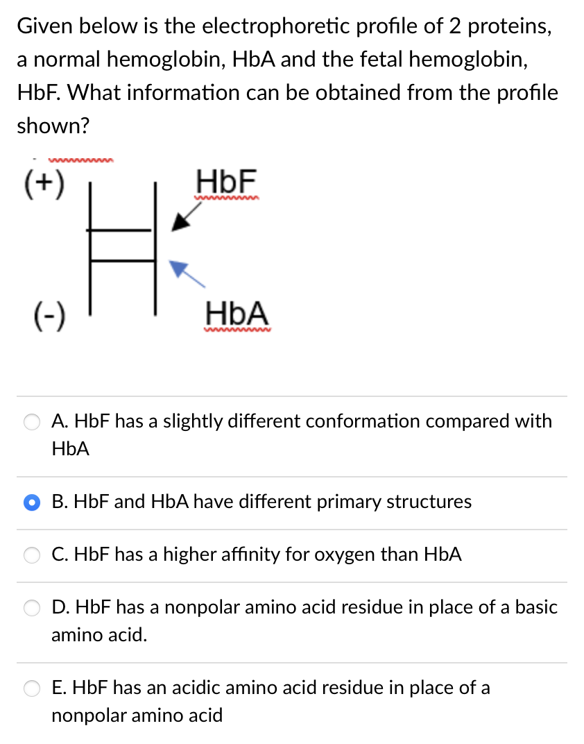 Given below is the electrophoretic profile of 2 proteins,
a normal hemoglobin, HbA and the fetal hemoglobin,
HbF. What information can be obtained from the profile
shown?
wwwwwww
(+)
HbF
ww w
(-)
HbA
ww ww
A. HbF has a slightly different conformation compared with
HbA
B. HbF and HbA have different primary structures
C. HbF has a higher affinity for oxygen than HbA
D. HbF has a nonpolar amino acid residue in place of a basic
amino acid.
E. HbF has an acidic amino acid residue in place of a
nonpolar amino acid
