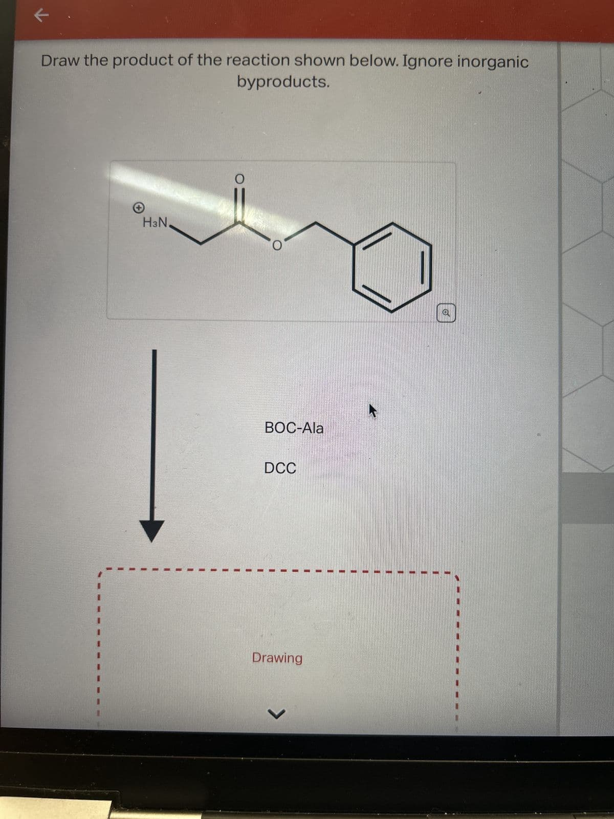 K
Draw the product of the reaction shown below. Ignore inorganic
byproducts.
HзN.
BOC-Ala
DCC
Drawing
く