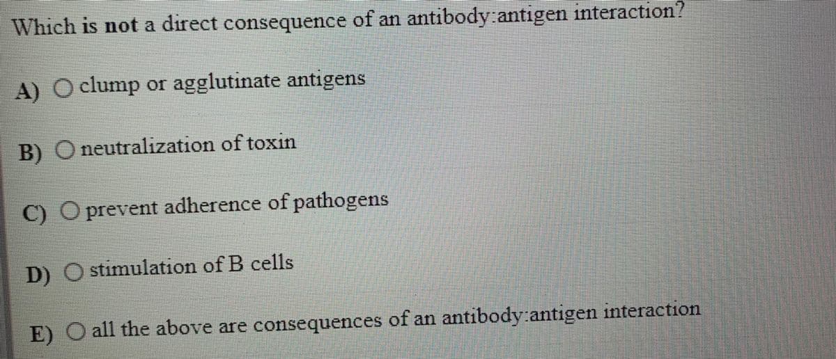 Which is not a direct consequence of an antibody antigen interaction?
A) O clump or agglutinate antigens
B) O neutralization of toxin
C) O prevent adherence of pathogens
D) O stimulation of B cells
E) O all the above are consequences of an antibody antigen interaction
