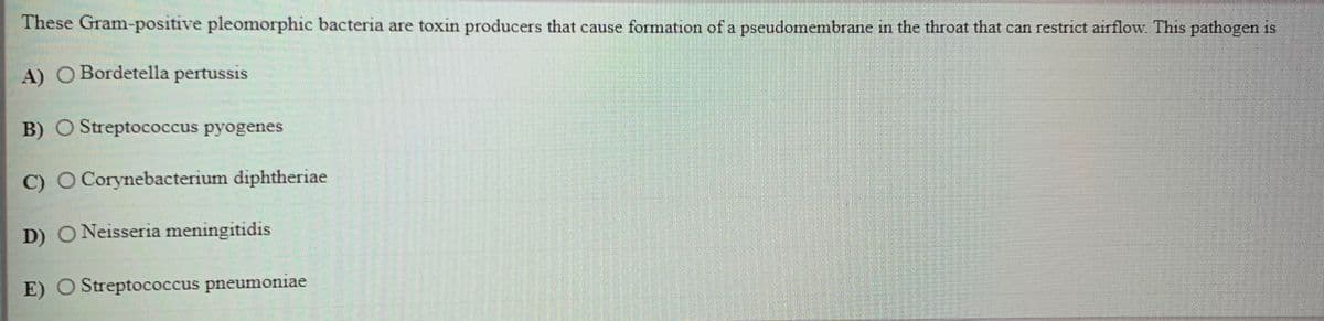 These Gram-positive pleomorphic bacteria are toxin producers that cause formation of a pseudomembrane in the throat that can restrict airflow. This pathogen is
A) O Bordetella pertussis
A
B) O Streptococcus pyogenes
C) O Corynebacterium diphtheriae
D) O Neisseria meningitidis
E) O Streptococcus pneumoniae
