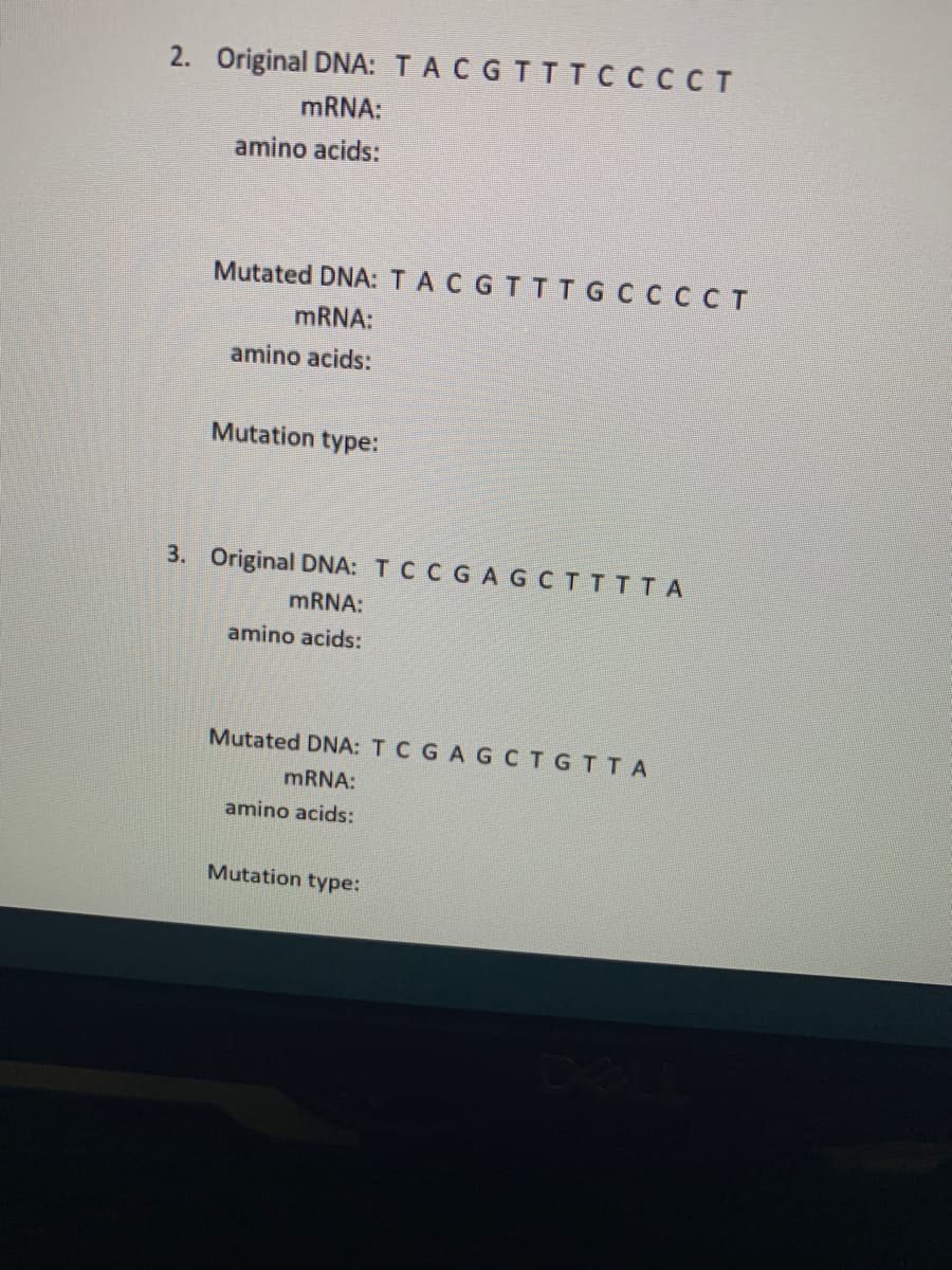 2. Original DNA: TACGTTTCCCCT
MRNA:
amino acids:
Mutated DNA: TACGTTTGCCCC T
MRNA:
amino acids:
Mutation type:
3. Original DNA: TC C GAGCTTTTA
MRNA:
amino acids:
Mutated DNA: TC GAGCTGTTA
MRNA:
amino acids:
Mutation type:

