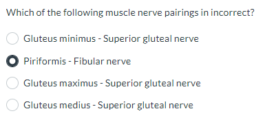 Which of the following muscle nerve pairings in incorrect?
Gluteus minimus - Superior gluteal nerve
● Piriformis - Fibular nerve
Gluteus maximus - Superior gluteal nerve
Gluteus medius - Superior gluteal nerve