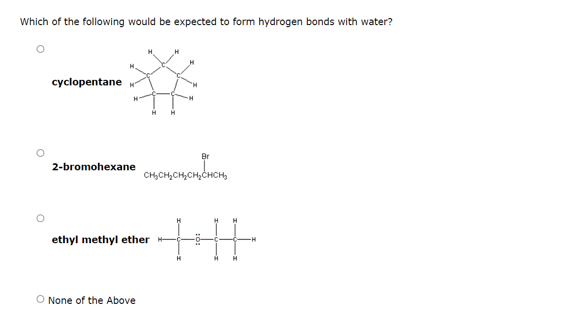 Which of the following would be expected to form hydrogen bonds with water?
cyclopentane
H
H
2-bromohexane
H
O None of the Above
ethyl methyl ether
H
H
Br
CH3CH₂CH₂CH₂CHCH3
+H
H
H