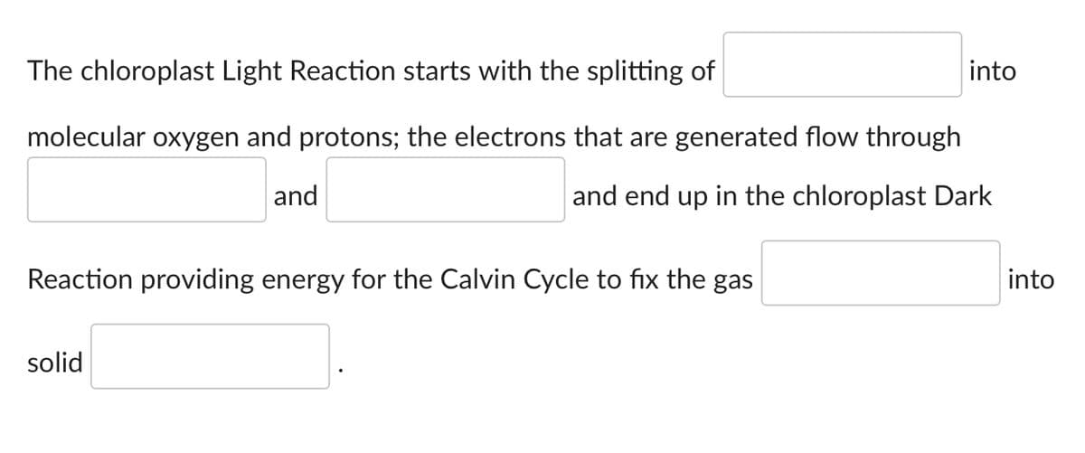 The chloroplast Light Reaction starts with the splitting of
molecular oxygen and protons; the electrons that are generated flow through
and
and end up in the chloroplast Dark
Reaction providing energy for the Calvin Cycle to fix the gas
solid
into
into