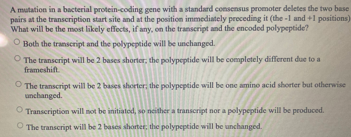 A mutation in a bacterial protein-coding gene with a standard consensus promoter deletes the two base
pairs at the transcription start site and at the position immediately preceding it (the -1 and +1 positions).
What will be the most likely effects, if any, on the transcript and the encoded polypeptide?
Both the transcript and the polypeptide will be unchanged.
O The transcript will be 2 bases shorter; the polypeptide will be completely different due to a
frameshift.
The transcript will be 2 bases shorter; the polypeptide will be one amino acid shorter but otherwise
unchanged.
Transcription will not be initiated, so ncither a transcript nor a polypeptide will be produced.
O The transcript will be 2 bases shorter: the polypcptide will be unchanged.
