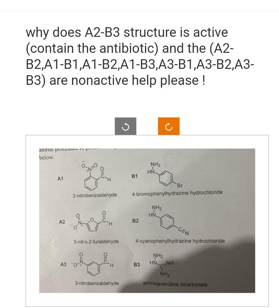 why does A2-B3 structure is active
(contain the antibiotic) and the (A2-
B2,A1-B1,A1-B2,A1-B3,A3-B1,A3-B2,A3-
B3) are nonactive help please!
atorial proce
below.
A1
A2
A3
N=0
H
2-nitrobenzaldehyde
5-nitro-2-furaldehyde
3-nitrobenzaldehyde
B1
B2
NH₂
HN.
4-bromophenylhydrazine hydrochloride
B3
NH₂
Br
HN.
4-cyanophenylhydrazine hydrochloride
NH₂
HN CẠNH
NH₂
aminoguanidine bicarbonate