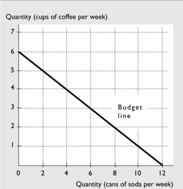 Quantity (cups of coffee per week)
7
6
4
Budget
line
2
4
6
8
10
12
Quantity (cans of soda per week)
