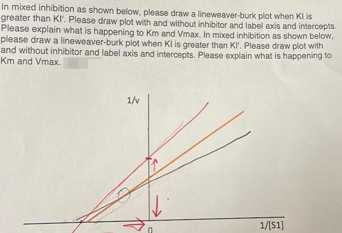 In mixed inhibition as shown below, please draw a lineweaver-burk plot when Kl is
greater than KI'. Please draw plot with and without inhibitor and label axis and intercepts.
Please explain what is happening to Km and Vmax. In mixed inhibition as shown below,
please draw a lineweaver-burk plot when Kl is greater than KI'. Please draw plot with
and without inhibitor and label axis and intercepts. Please explain what is happening to
Km and Vmax.
1/v
1/[S1]