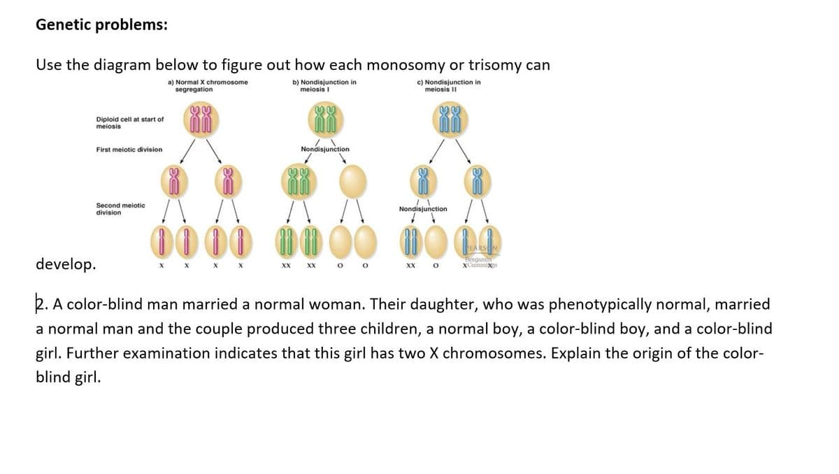 Genetic problems:
Use the diagram below to figure out how each monosomy or trisomy can
a) Normal X chromosome
segregation
b) Nondisjunction in
meiosis I
c) Nondisjunction in
meiosis II
Diploid cell at start of
meiosis
First meiotic division
Nondisjunction
Second meiotic
division
Nondisjunction
00 00
develop.
Benjamim
XCuinmi
х Х х х
Xх хх о о
XX O
2. A color-blind man married a normal woman. Their daughter, who was phenotypically normal, married
a normal man and the couple produced three children, a normal boy, a color-blind boy, and a color-blind
girl. Further examination indicates that this girl has two X chromosomes. Explain the origin of the color-
blind girl.

