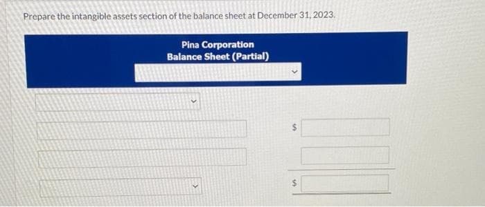Prepare the intangible assets section of the balance sheet at December 31, 2023.
Pina Corporation
Balance Sheet (Partial)
$