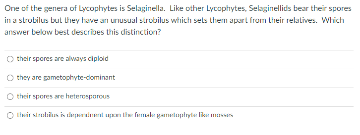 One of the genera of Lycophytes is Selaginella. Like other Lycophytes, Selaginellids bear their spores
in a strobilus but they have an unusual strobilus which sets them apart from their relatives. Which
answer below best describes this distinction?
their spores are always diploid
O they are gametophyte-dominant
their spores are heterosporous
their strobilus is dependnent upon the female gametophyte like mosses
