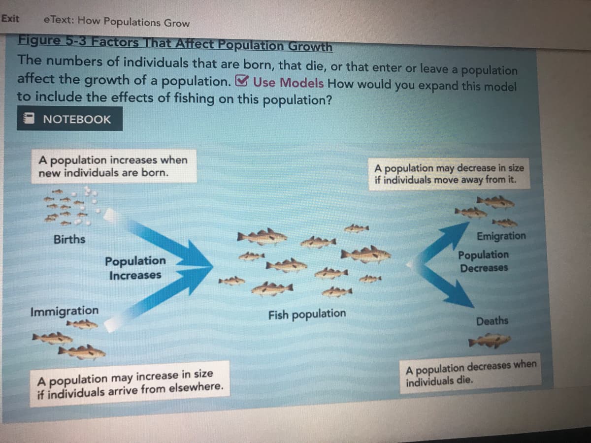 Exit
e Text: How Populations Grow
Figure 5-3 Factors That Affect Population Growth
The numbers of individuals that are born, that die, or that enter or leave a population
affect the growth of a population. Use Models How would you expand this model
to include the effects of fishing on this population?
NOTEBOOK
A population increases when
new individuals are born.
A population may decrease in size
if individuals move away from it.
Births
Emigration
Population
Increases
Population
Decreases
Immigration
Fish population
Deaths
A population may increase in size
if individuals arrive from elsewhere.
A population decreases when
individuals die.
