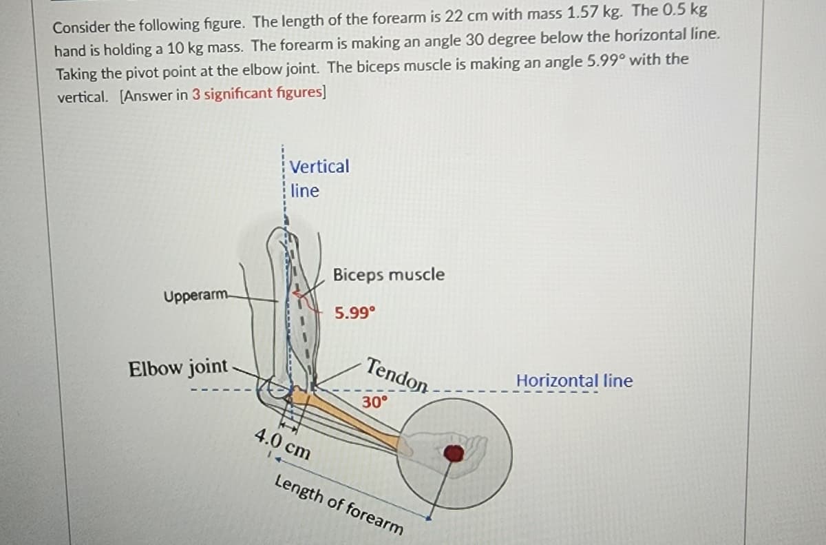 Consider the following figure. The length of the forearm is 22 cm with mass 1.57 kg. The 0.5 kg
hand is holding a 10 kg mass. The forearm is making an angle 30 degree below the horizontal line.
Taking the pivot point at the elbow joint. The biceps muscle is making an angle 5.99° with the
vertical. [Answer in 3 significant figures]
Upperarm
Elbow joint-
Vertical
line
4.0 cm
Biceps muscle
5.99⁰
Tendon
30°
Length of forearm
Horizontal line