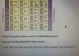 Give the COMPLIMENTARY DNA strand.
3'TAC TAC TTT AMA TCA CTC TCC GCT GGT GTG AGT TGC CCT ACT 5
