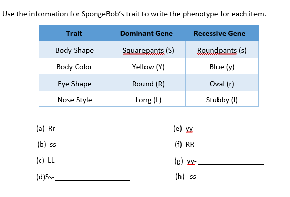 Use the information for SpongeBob's trait to write the phenotype for each item.
Trait
Dominant Gene
Recessive Gene
Body Shape
Squarepants (S)
Roundpants (s)
Body Color
Yellow (Y)
Blue (y)
Eye Shape
Round (R)
Oval (r)
Nose Style
Long (L)
Stubby (1)
(a) Rr-
(e) YX-
(b) ss-
(f) RR-
(c) LL-
(g) XX-
(d)Ss-
(h) ss-
