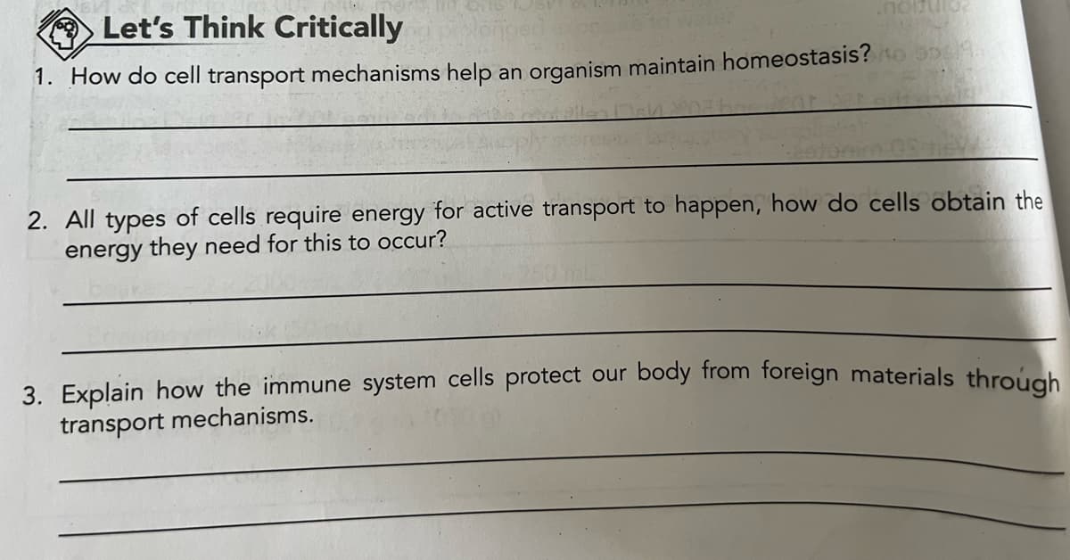 Let's Think Critically
lonped a po
1. How do cell transport mechanisms help an organism maintain homeostasis?
20
2. All types of cells require energy for active transport to happen, how do cells obtain the
energy they need for this to occur?
3. Explain how the immune system cells protect our body from foreign materials through
transport mechanisms.