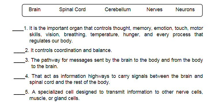 Brain
Spinal Cord
Cerebellum
Nerves
Neurons
_1. It is the important organ that controls thought, memory, emotion, touch, motor
skills, vision, breathing, temperature, hunger, and every process that
regulates our body.
_2. It controls coordination and balance.
_3. The pathway for messages sent by the brain to the body and from the body
to the brain.
_4. That act as information highways to carry signals between the brain and
spinal cord and the rest of the body.
5. A specialized cell designed to transmit information to other nerve cells,
muscle, or gland cells.
