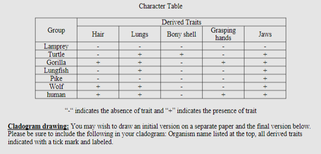 Character Table
Derived Traits
Group
Grasping
hands
Hair
Lungs
Bony shell
Jaws
Lamprey
Turtle
Gorilla
Lungfish
Pike
Wolf
human
+
+
+
indicates the absence of trait and "+" indicates the presence of trait
Cladogram drawing: You may wish to draw an initial version on a separate paper and the final version below.
Please be sure to include the following in your cladogram: Organism name listed at the top, all derived traits
indicated with a tick mark and labeled.
