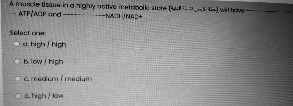 A muscle tissue in a highly active metabolic state (llihä jayl ib) will have
- ATP/ADP and
---NADH/NAD+
--
Select one:
O a. high / high
O b. low / high
O c. medium/medium
d. high / low
