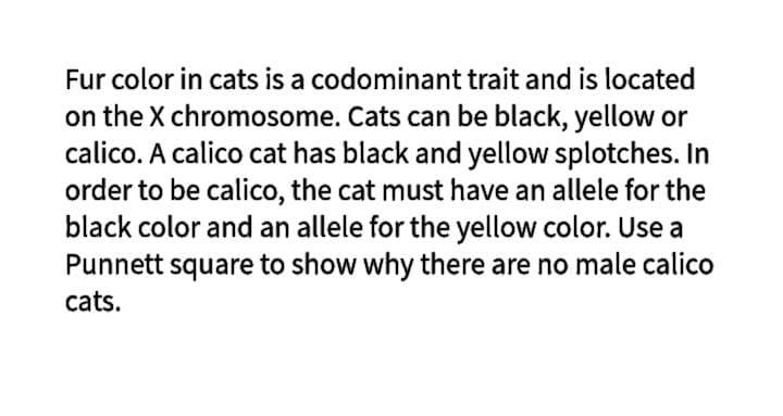 Fur color in cats is a codominant trait and is located
on the X chromosome. Cats can be black, yellow or
calico. A calico cat has black and yellow splotches. In
order to be calico, the cat must have an allele for the
black color and an allele for the yellow color. Use a
Punnett square to show why there are no male calico
cats.
