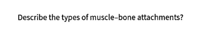 Describe the types of muscle-bone attachments?
