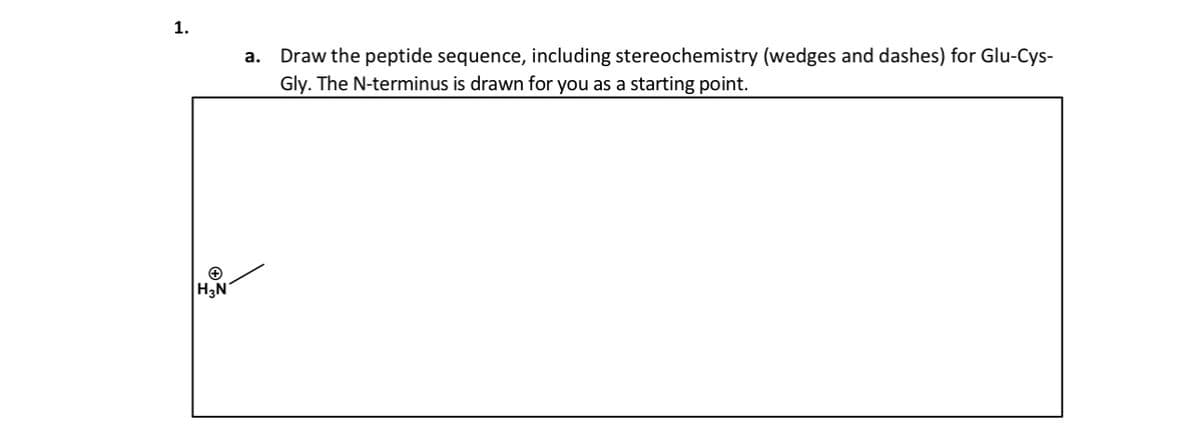 1.
H3N
a. Draw the peptide sequence, including stereochemistry (wedges and dashes) for Glu-Cys-
Gly. The N-terminus is drawn for you as a starting point.
