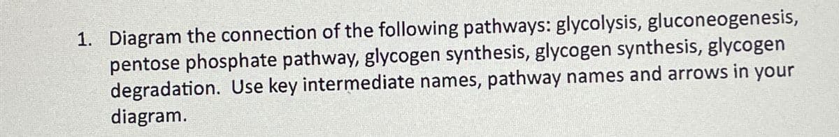 1. Diagram the connection of the following pathways: glycolysis, gluconeogenesis,
pentose phosphate pathway, glycogen synthesis, glycogen synthesis, glycogen
degradation. Use key intermediate names, pathway names and arrows in your
diagram.