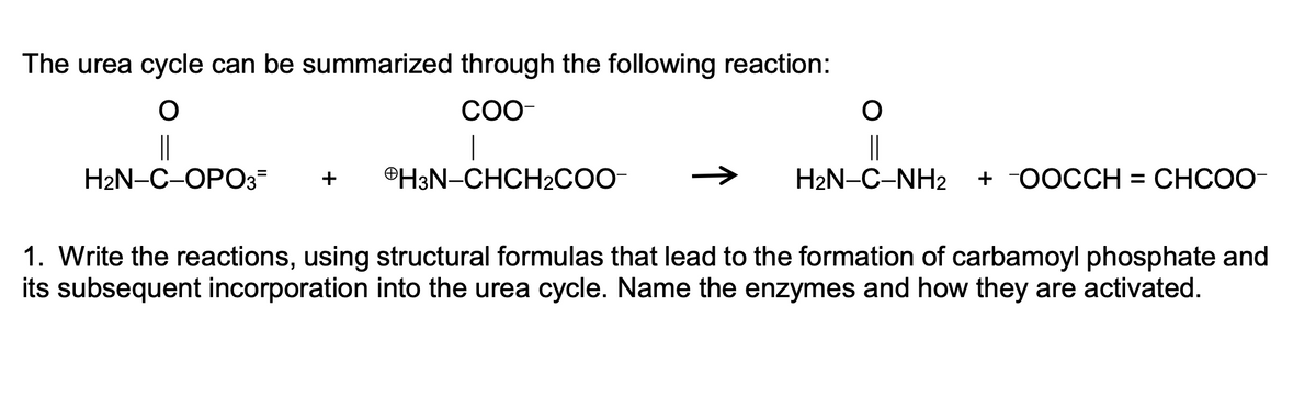 The urea cycle can be summarized through the following reaction:
O
||
H₂N-C-OPO3=
COO-
|
H3N-CHCH₂COO-
O
||
H₂N-C-NH2 + -OOCCH = CHCOO-
1. Write the reactions, using structural formulas that lead to the formation of carbamoyl phosphate and
its subsequent incorporation into the urea cycle. Name the enzymes and how they are activated.