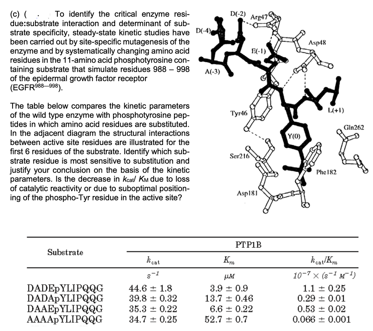 To identify the critical enzyme resi-
(c) (
due:substrate interaction and determinant of sub-
D(-2)
Arg47
strate specificity, steady-state kinetic studies have D(-4)
been carried out by site-specific mutagenesis of the
enzyme and by systematically changing amino acid
residues in the 11-amino acid phosphotyrosine con-
taining substrate that simulate residues 988 – 998
of the epidermal growth factor receptor
(EGFR988–998).
Asp48
E(-1)
A(-3)
The table below compares the kinetic parameters
of the wild type enzyme with phosphotyrosine pep-
tides in which amino acid residues are substituted.
L(+1)
Тyr46
Gln262
In the adjacent diagram the structural interactions
between active site residues are illustrated for the
Y(0)
first 6 residues of the substrate. Identify which sub-
strate residue is most sensitive to substitution and
Ser216
justify your conclusion on the basis of the kinetic
parameters. Is the decrease in kcat/ KM due to loss
of catalytic reactivity or due to suboptimal position-
ing of the phospho-Tyr residue in the active site?
Phe 182
Asp181
PTP1Β
Substrate
kcat
kcat/Km
UM
10-7 x (s-1 M1)
DADEPYLIPQQG
DADAPYLIPQG
DAAEPYLIPQQG
AAAAPYLIPQQG
44.6 + 1.8
39.8 + 0.32
3.9 + 0.9
13.7 + 0.46
1.1 + 0.25
0.29 + 0.01
0.53 + 0.02
35.3 + 0.22
6.6 + 0.22
34.7 + 0.25
52.7 + 0.7
0.066 + 0.001
