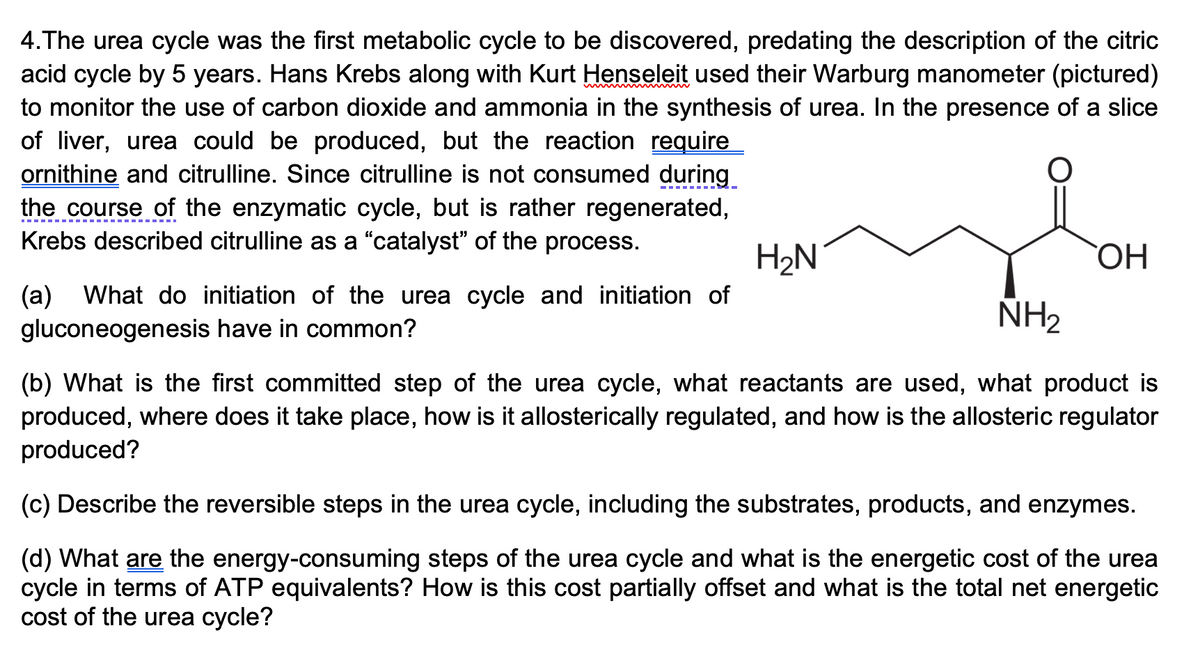 4. The urea cycle was the first metabolic cycle to be discovered, predating the description of the citric
acid cycle by 5 years. Hans Krebs along with Kurt Henseleit used their Warburg manometer (pictured)
to monitor the use of carbon dioxide and ammonia in the synthesis of urea. In the presence of a slice
of liver, urea could be produced, but the reaction require
ornithine and citrulline. Since citrulline is not consumed during
the course of the enzymatic cycle, but is rather regenerated,
Krebs described citrulline as a “catalyst” of the process.
O
H₂N
(a) What do initiation of the urea cycle and initiation of
gluconeogenesis have in common?
OH
NH₂
(b) What is the first committed step of the urea cycle, what reactants are used, what product is
produced, where does it take place, how is it allosterically regulated, and how is the allosteric regulator
produced?
(c) Describe the reversible steps in the urea cycle, including the substrates, products, and enzymes.
(d) What are the energy-consuming steps of the urea cycle and what is the energetic cost of the urea
cycle in terms of ATP equivalents? How is this cost partially offset and what is the total net energetic
cost of the urea cycle?