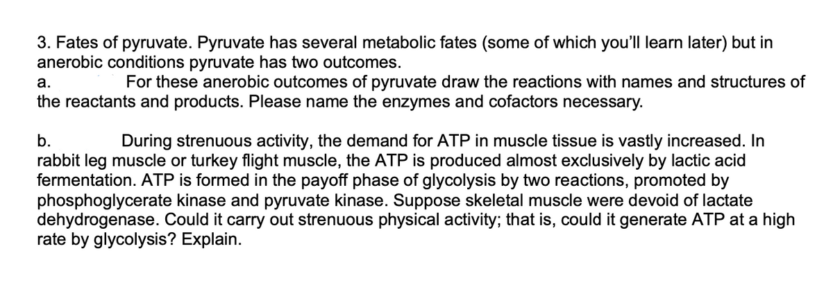 3. Fates of pyruvate. Pyruvate has several metabolic fates (some of which you'll learn later) but in
anerobic conditions pyruvate has two outcomes.
a.
For these anerobic outcomes of pyruvate draw the reactions with names and structures of
the reactants and products. Please name the enzymes and cofactors necessary.
b.
During strenuous activity, the demand for ATP in muscle tissue is vastly increased. In
rabbit leg muscle or turkey flight muscle, the ATP is produced almost exclusively by lactic acid
fermentation. ATP is formed in the payoff phase of glycolysis by two reactions, promoted by
phosphoglycerate kinase and pyruvate kinase. Suppose skeletal muscle were devoid of lactate
dehydrogenase. Could it carry out strenuous physical activity; that is, could it generate ATP at a high
rate by glycolysis? Explain.