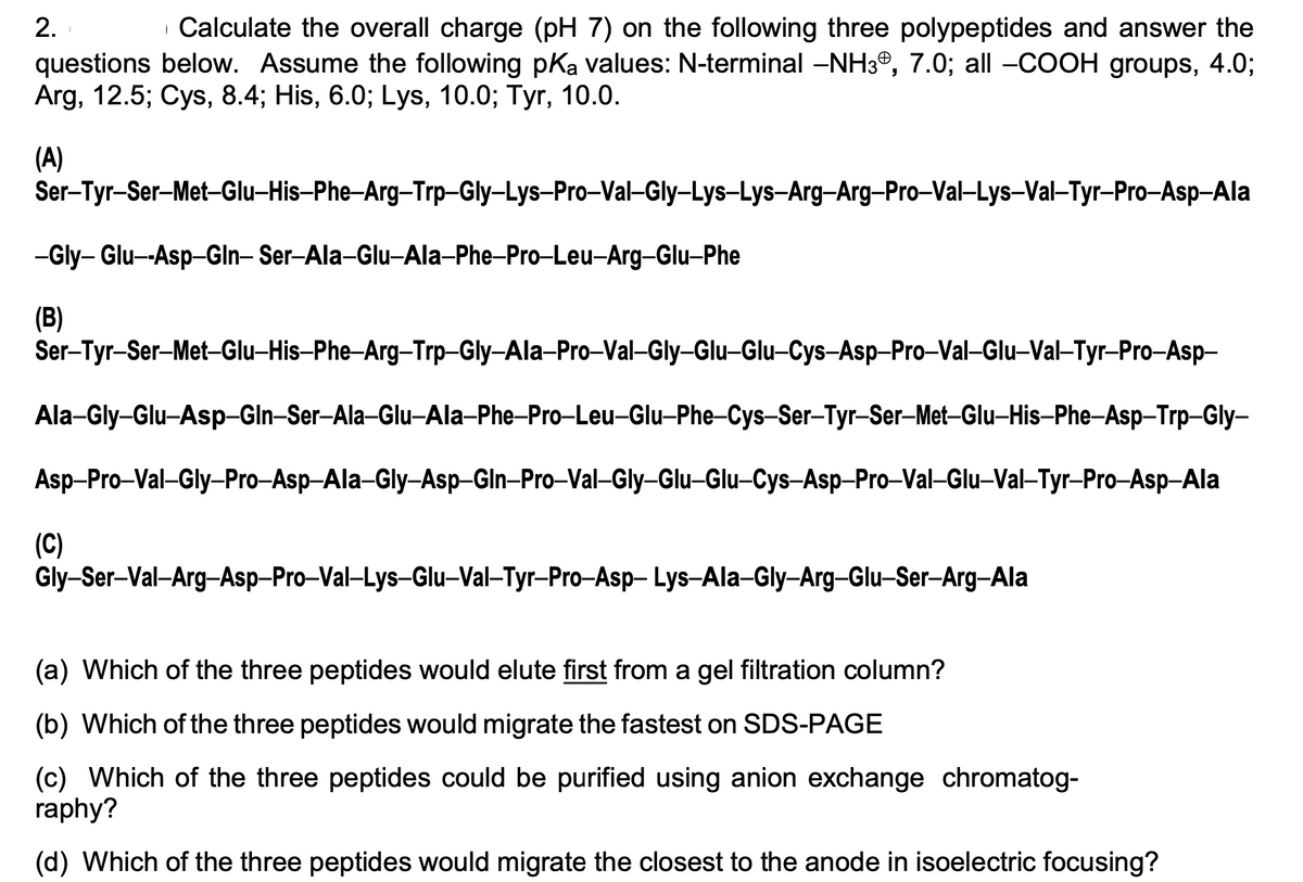 2.
| Calculate the overall charge (pH 7) on the following three polypeptides and answer the
questions below. Assume the following pKa values: N-terminal -NH3®, 7.0; all -COOH groups, 4.0;
Arg, 12.5; Cys, 8.4; His, 6.0; Lys, 10.0; Tyr, 10.0.
(A)
Ser-Tyr-Ser-Met-Glu-His-Phe-Arg-Trp-Gly-Lys-Pro-Val-Gly-Lys-Lys-Arg-Arg-Pro-Val-Lys-Val-Tyr-Pro-Asp-Ala
-Gly- Glu-Asp-Gln- Ser-Ala-Glu-Ala-Phe-Pro-Leu-Arg-Glu-Phe
(B)
Ser-Tyr-Ser-Met-Glu–His-Phe-Arg–Trp–Gly-Ala-Pro-Val-Gly-Glu-Glu-Cys-Asp-Pro-Val-Glu–Val-Tyr-Pro-Asp-
Ala-Gly-Glu-Asp-Gln-Ser-Ala-Glu-Ala-Phe-Pro-Leu-Glu-Phe-Cys-Ser-Tyr-Ser-Met-Glu-His-Phe-Asp-Trp-Gly-
Asp-Pro-Val-Gly-Pro-Asp-Ala-Gly-Asp-Gln-Pro-Val-Gly-Glu-Glu-Cys-Asp-Pro-Val-Glu-Val-Tyr-Pro-Asp-Ala
|
(C)
Gly-Ser-Val-Arg-Asp-Pro-Val-Lys-Glu–Val-Tyr-Pro-Asp- Lys-Ala-Gly-Arg-Glu-Ser-Arg-Ala
(a) Which of the three peptides would elute first from a gel filtration column?
(b) Which of the three peptides would migrate the fastest on SDS-PAGE
(c) Which of the three peptides could be purified using anion exchange chromatog-
raphy?
(d) Which of the three peptides would migrate the closest to the anode in isoelectric focusing?
