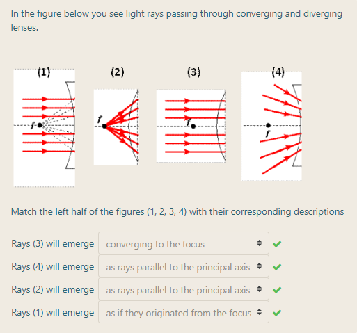 In the figure below you see light rays passing through converging and diverging
lenses.
(1)
(2)
(3)
(4)
Match the left half of the figures (1, 2, 3, 4) with their corresponding descriptions
Rays (3) will emerge converging to the focus
Rays (4) will emerge as rays parallel to the principal axis v
Rays (2) will emerge
as rays parallel to the principal axis +
Rays (1) will emerge
as if they originated from the focus +
