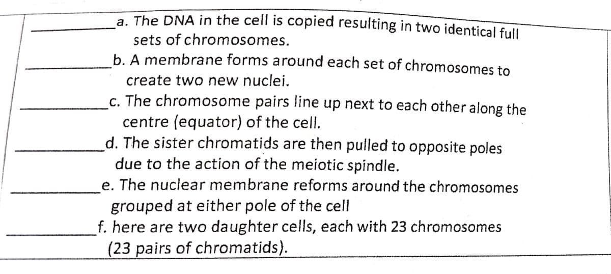 a. The DNA in the cell is copied resulting in two identical full
sets of chromosomes.
b. A membrane forms around each set of chromosomes to
create two new nuclei.
C. The chromosome pairs line up next to each other along the
centre (equator) of the cell
d. The sister chromatids are then pulled to opposite poles
due to the action of the meiotic spindle.
e. The nuclear membrane reforms around the chromosomes
grouped at either pole of the cell
f. here are two daughter cells, each with 23 chromosomes
(23 pairs of chromatids).
