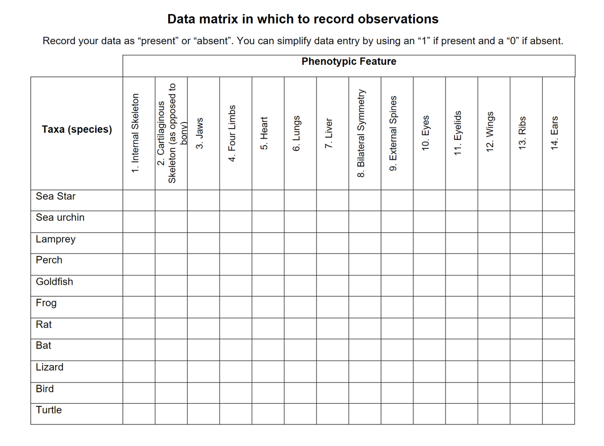 Data matrix in which to record observations
Record your data as “present” or “absent”. You can simplify data entry by using an “1” if present and a “0” if absent.
Phenotypic Feature
Taxa (species)
Sea Star
Sea urchin
Lamprey
Perch
Goldfish
Frog
Rat
Bat
Lizard
Bird
Turtle
1. Internal Skeleton
14. Ears