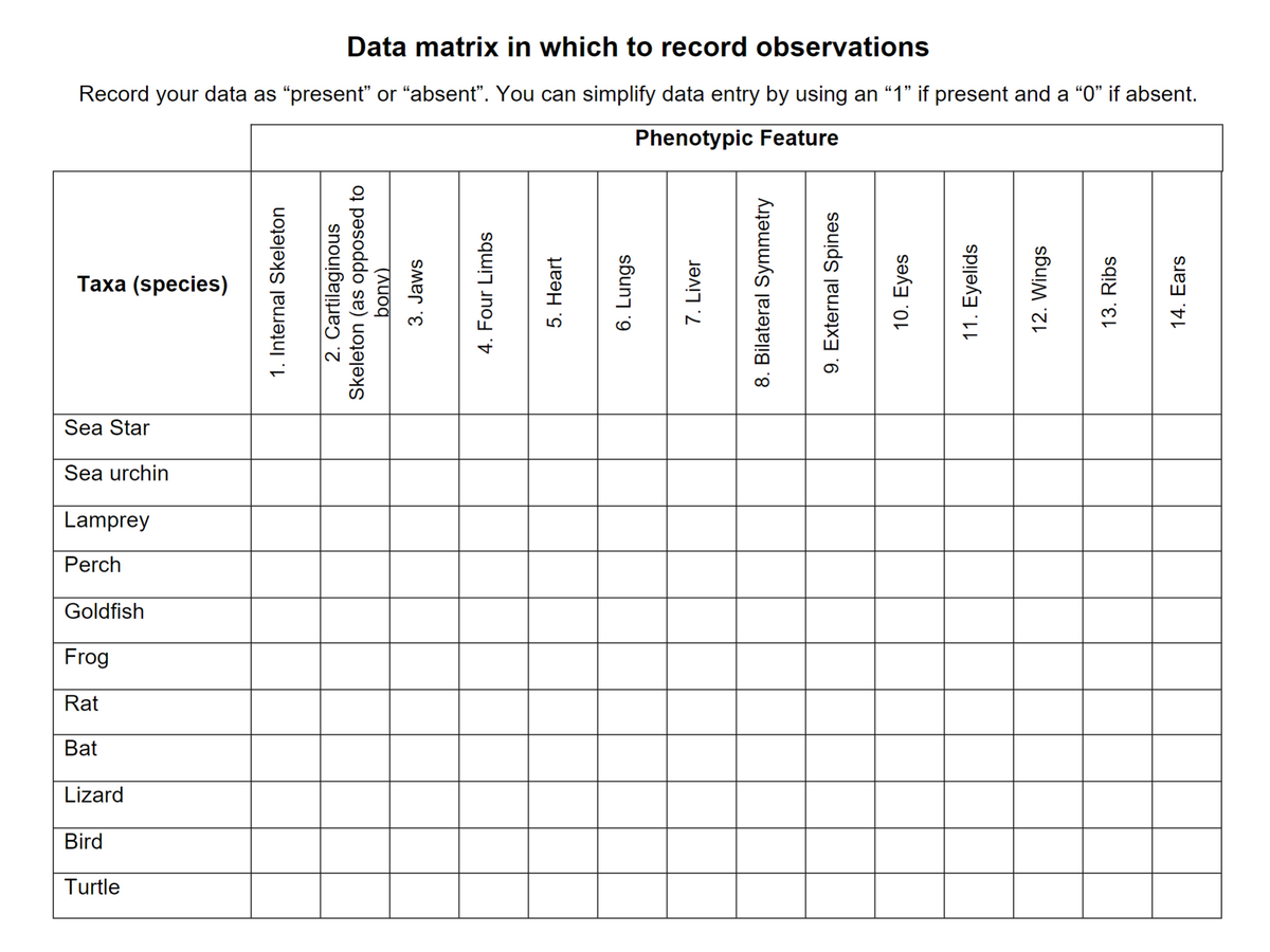Data matrix in which to record observations
Record your data as “present” or “absent”. You can simplify data entry by using an “1” if present and a “0” if absent.
Phenotypic Feature
Taxa (species)
Sea Star
Sea urchin
Lamprey
Perch
Goldfish
Frog
Rat
Bat
Lizard
Bird
Turtle
1. Internal Skeleton