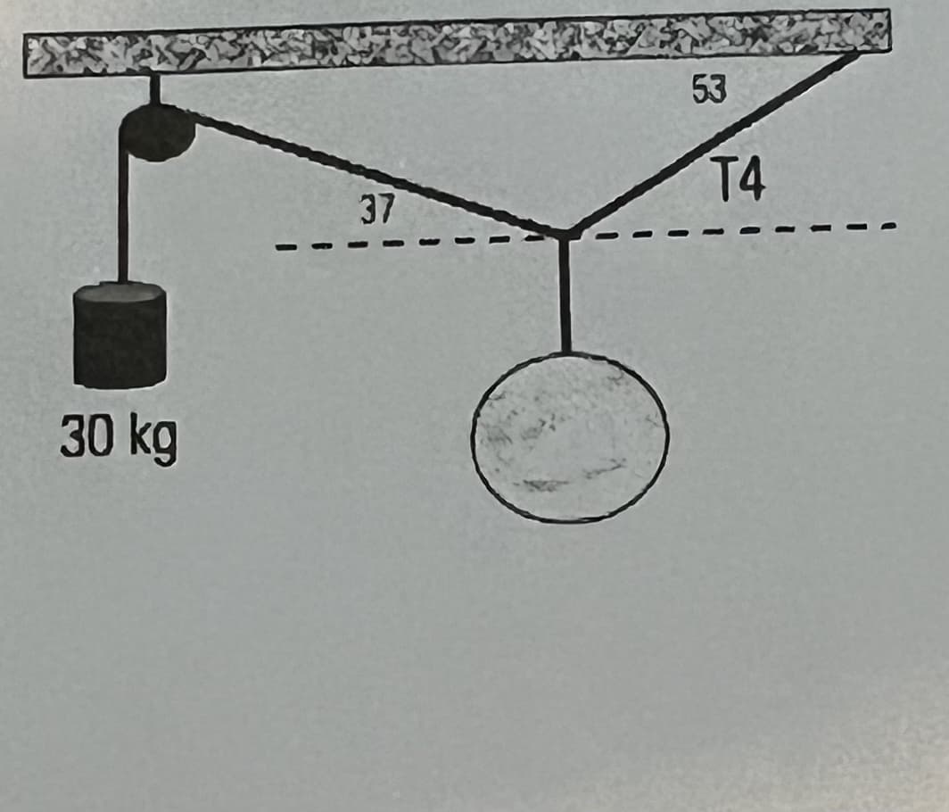 30 kg
37
53
T4