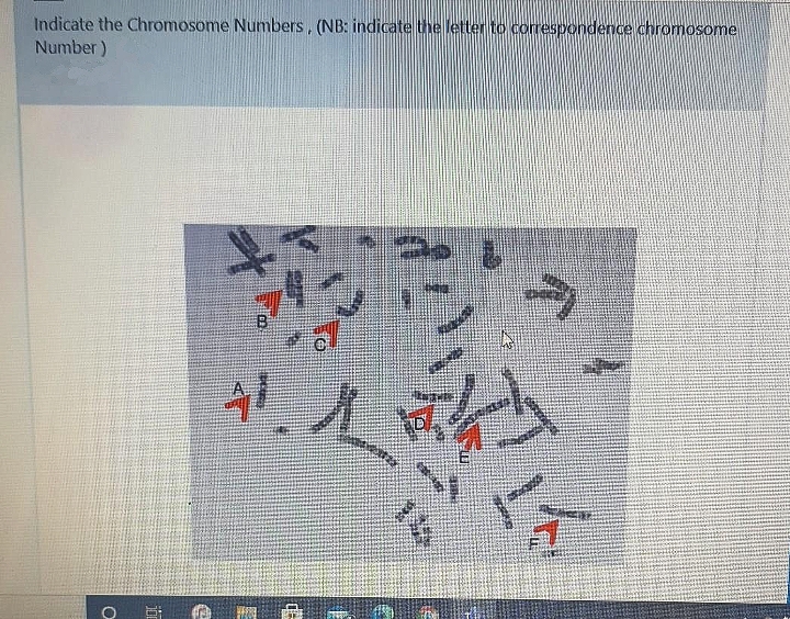 Indicate the Chromosome Numbers, (NB: indicate the letter to correspondence chromosome
Number)
దా 8
