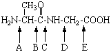 ÇH3C
H,N-CH-C-NH-CH, -COOH
À BC
D E
