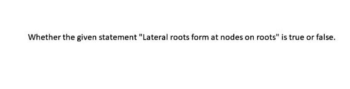 Whether the given statement "Lateral roots form at nodes on roots" is true or false.

