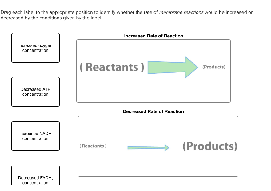 Drag each label to the appropriate position to identify whether the rate of membrane reactions would be increased or
decreased by the conditions given by the label.
Increased oxygen
concentration
Decreased ATP
concentration
Increased NADH
concentration
Decreased FADH₂
concentration
Increased Rate of Reaction
(Reactants)
(Reactants)
Decreased Rate of Reaction
(Products)
(Products)
