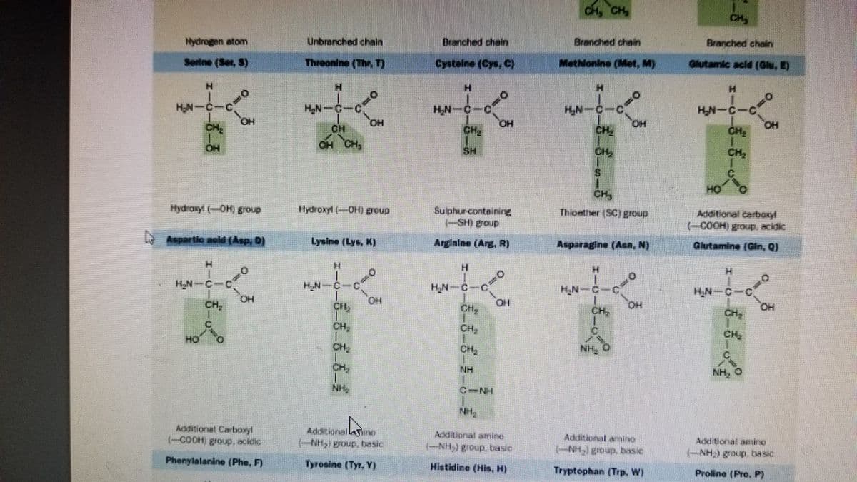 Hydrogen atom
Serine (Ser, S)
H₂N-C-C
2-2
Hydroxyl (-OH) group
'' me
Aspartic acid (Asp. D)
HO
H
H₂N-C
Additional Carboxyl
(-COCHI group, acidic
Phenylalanine (Phe, F)
Unbranched chain
Threonine (Thet, T)
|H₂N-C-C
CH
2-0-1
pot
OH CH.
Hydroxyl (-OH) group
H
C
CH
Lysine (Lys, K)
CH,
CH,
CH.
NH.
HO
mas
U
0/400
Additional A
(-NH₂) group, basic
Tyrosine (Tyr. Y)
Branched chain
Cysteine (Cys. C)
H
H_N—C—C
CH.
SH
H
Sulphur-containing
(–SH) group
Arginine (Arg. R)
H_₂_N-C
co
H₂
CH,
HO
Det
C-N-
Ncclara, anire
(-NH₂,) group, basic
Histidino (His. H)
CH, CH₂
Branched chain
Methionine (Met, M)
H_N—C—C
S
CH,
Thicether (SC) group
HI
Asparagine (Asn, N)
H_N—C
threads
(14)
NH.
HO
0
HO
Additional amino
(-NH₂) group, basic
Tryptophan (Trp. W)
CH,
Brasched chalin
Glutamic acid (Glu, E)
H
H₂N-C-C
CH₂
H
(-COOH) group, acidic
Glutamine (Gin, Q)
H₂N-C
0
0
CH
Additional amino
(-NH₂) group, basic
Proline (Pro. P)