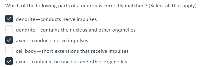Which of the following parts of a neuron is correctly matched? (Select all that apply)
dendrite-conducts nerve impulses
dendrite-contains the nucleus and other organelles
axon-conducts nerve impulses
cell body-short extensions that receive impulses
axon-contains the nucleus and other organelles