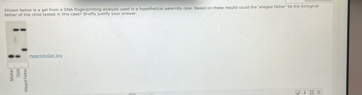 Shown below is a gel from a DNA fingerprinting analysis used in a hypothetical paternity case. Based on these results could the 'alleged father' be the biological
father of the child tested in this case? Briefly justify your answer.
PaternityGel.jpg
Mother
Alleged Father

