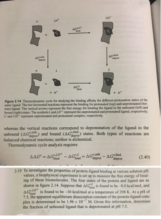 2-19 To investigate the properties of protein-ligand binding at various solution pH
values, a biophysical experiment is set up to measure the free energy of bind-
ing of these biomolecules. The four states of the protein and ligand are as
shown in figure 2.14. Suppose that AG, is found to be -8.0 kcal/mol, and
bind
AG
is found to be -10 kcal/mol at a temperature of 298 K. At a pH of
bind
7.5, the apparent equilibrium dissociation constant of the protein-ligand com-
plex is determined to be 1.96 × 10~7 M. Given this information, determine
the fraction of unbound ligand that is deprotonated at pH 7.5.
