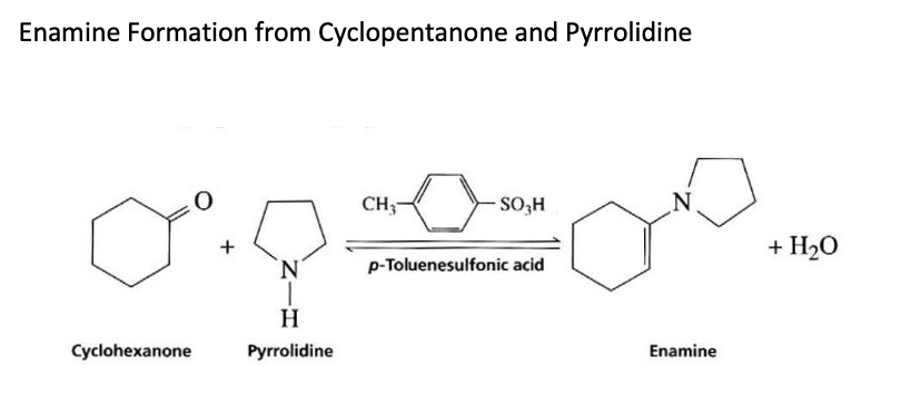 Enamine Formation from Cyclopentanone and Pyrrolidine
0°.Q.
+
Cyclohexanone
H
Pyrrolidine
CH37
SO₂H
p-Toluenesulfonic acid
Enamine
+ H₂O